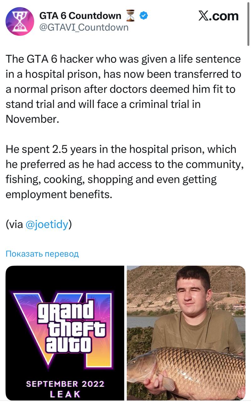 Хакер за решеткой после утечки GTA VI