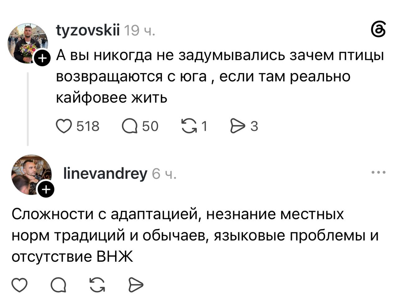 Стая птиц в небе во время весенней миграции