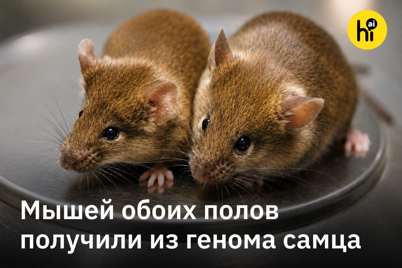 Лабораторная мышь с потомством в клетке