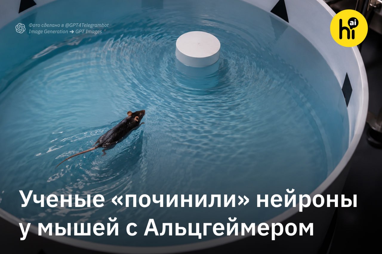 Наночастицы восстанавливают нейроны мозга при Альцгеймере