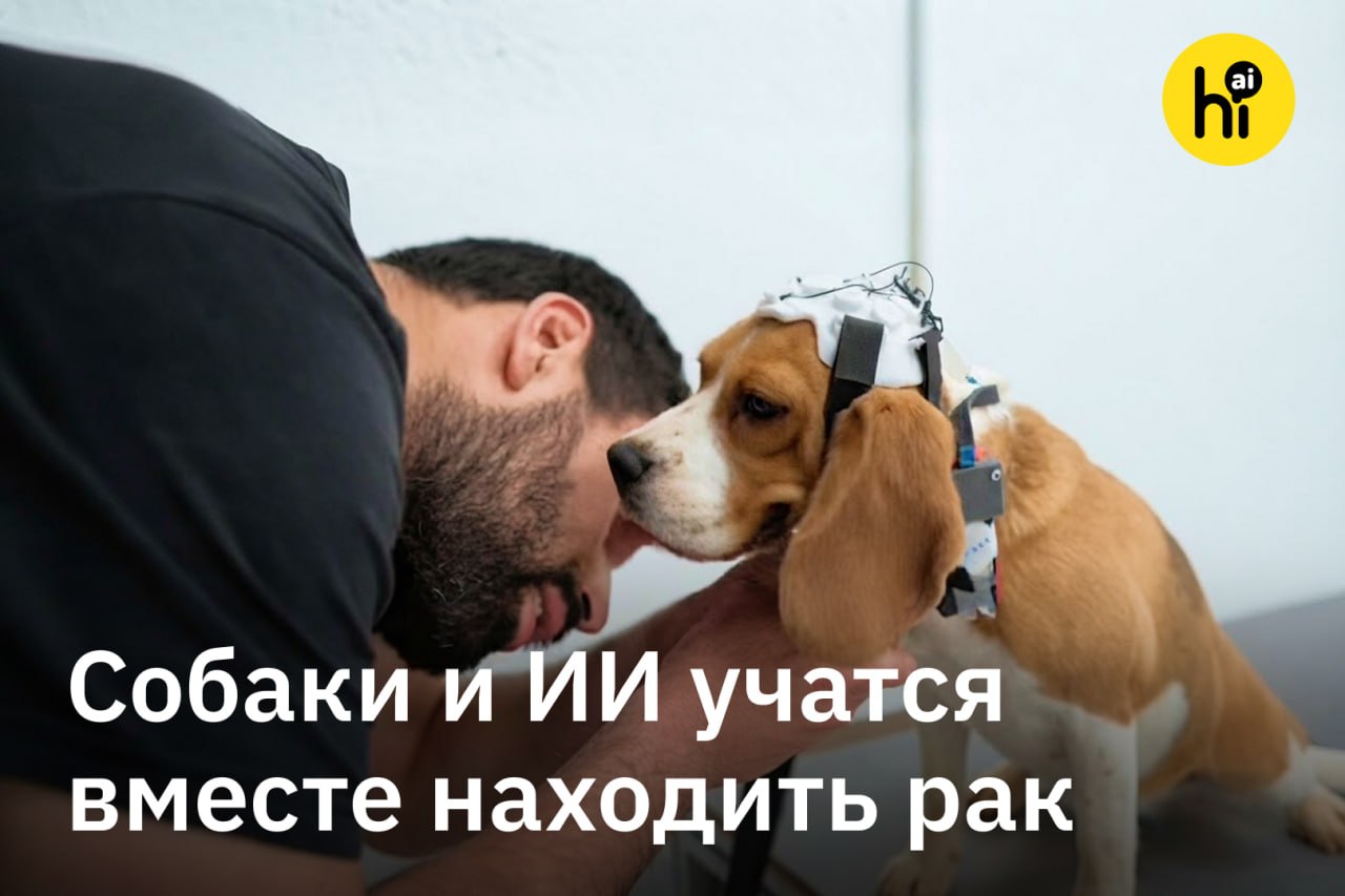 Собака в 3D-шлеме ищет рак по запаху