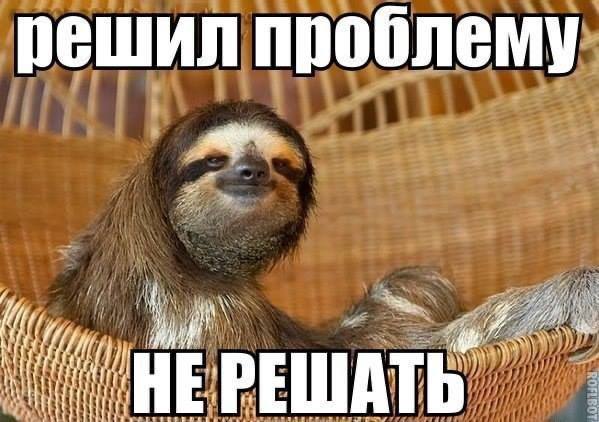 Ленивец висит на ветке вниз головой