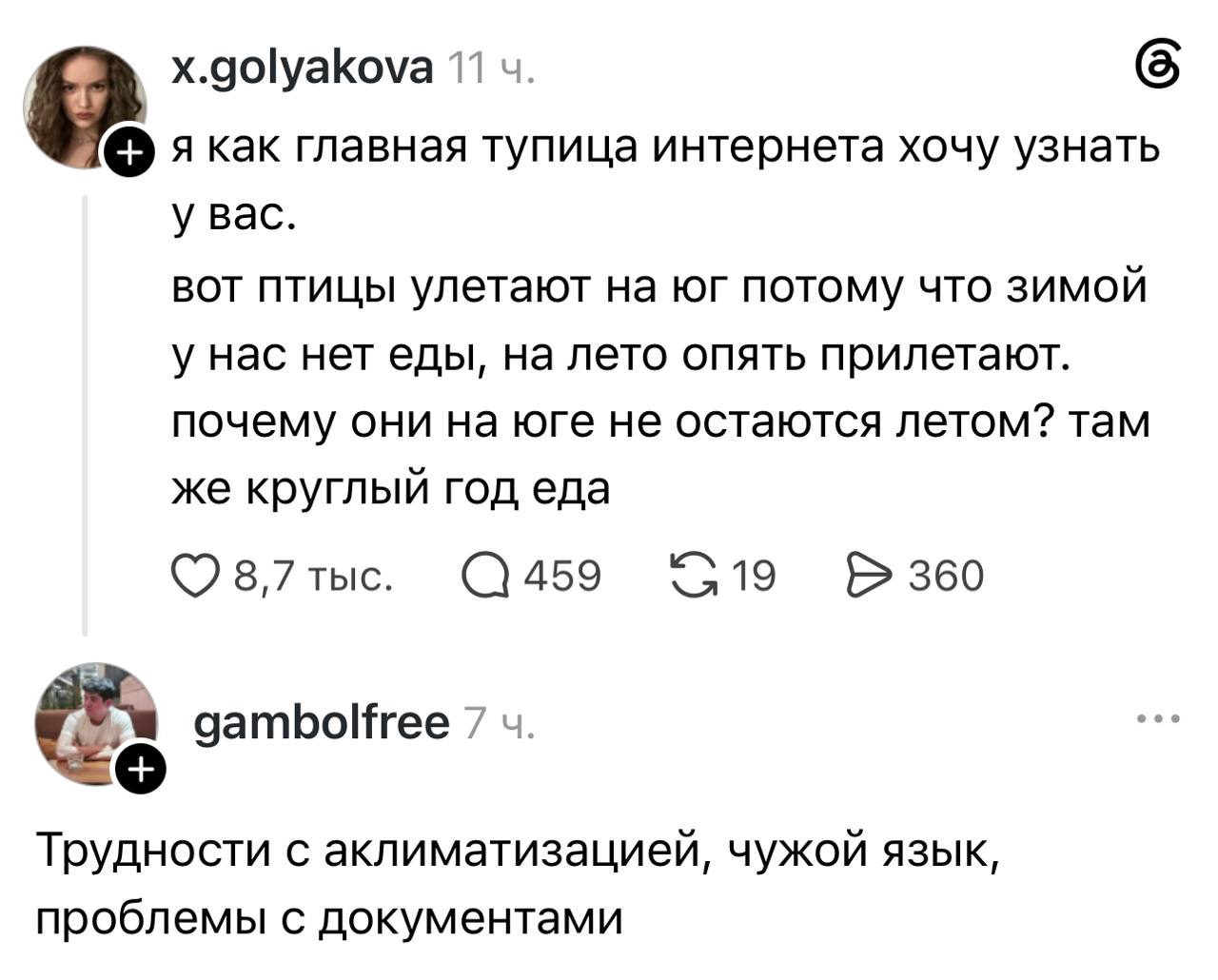 Перелётные птицы возвращаются домой с зимовки