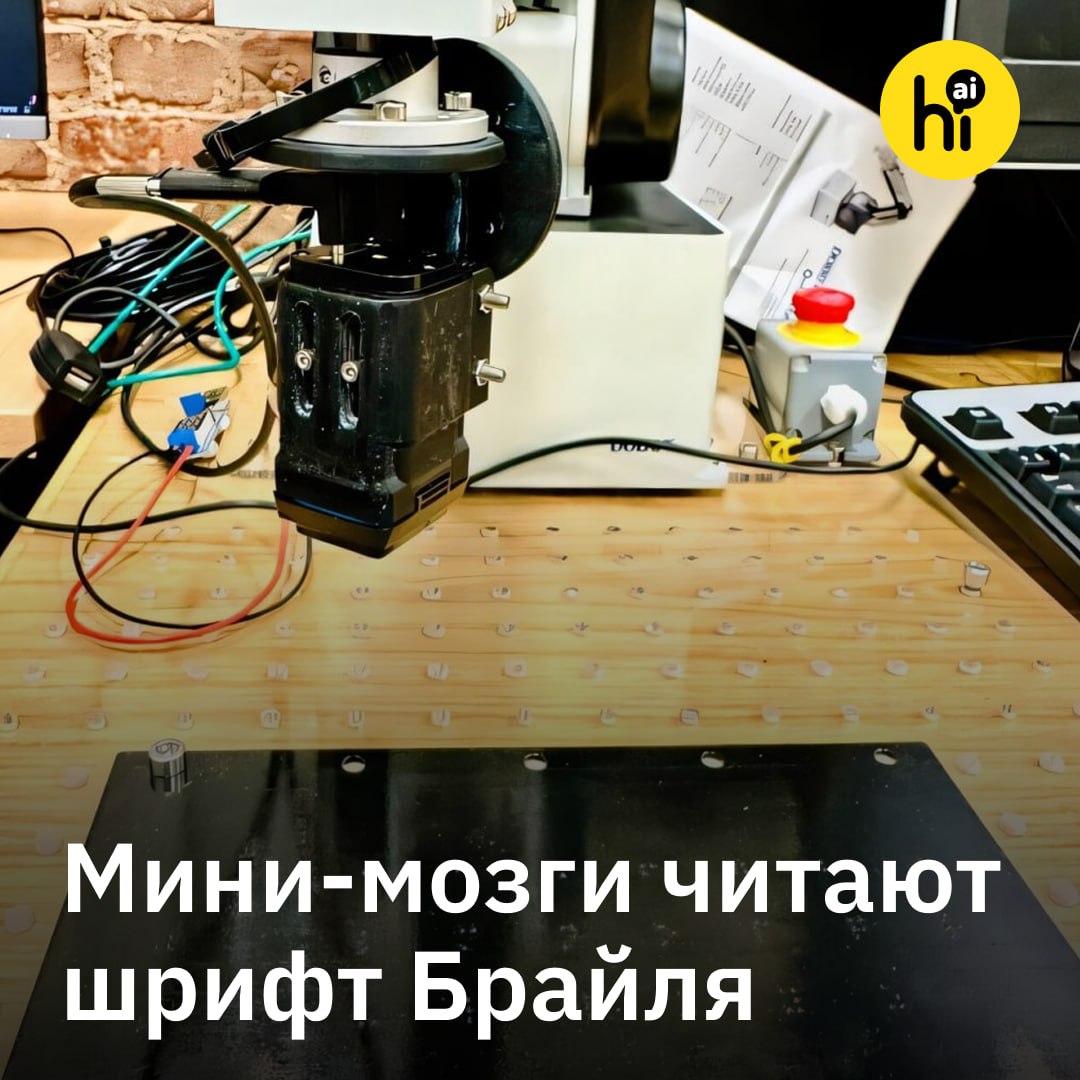 Ученые подключили мозговые органоиды к роборуке для чтения Брайля